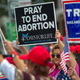 Illustration for article titled Obria Knows Its Winning the Abortion Wars